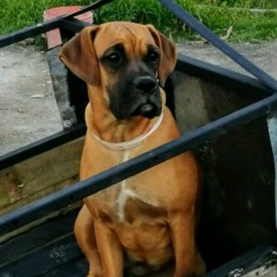 Profile Picture of Fernando Vizcarra (@Fernand22034144) on Twitter