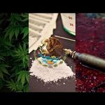 Profile Picture of Bryan Arrieta Leonides (@bryanleonides2006) on Instagram