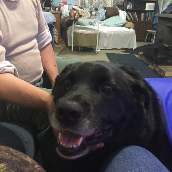 Profile Picture of Ruby Silva (@bethie1952) on Poshmark