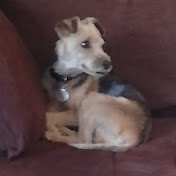 Profile Picture of Daniel Harris (@danjayharr) on Youtube