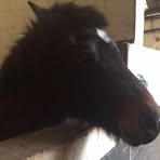 Profile Picture of Heather Klasser (@heather.klasser) on Facebook