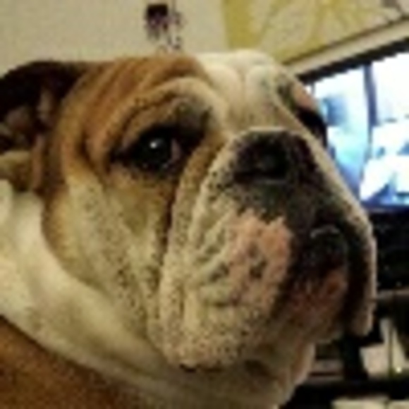 Profile Picture of Nicole Oakes (@noakes06) on Poshmark