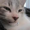 Profile Picture of Carson Smart133 (@@user6261418680069) on Tiktok