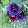 Profile Picture of Carol Conley (@@2180494619) on Tiktok