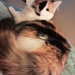 Barbara Markiewicz - Facebook Profile Picture of Barbara Markiewicz (@barbara.markiewicz.5811) on Facebook