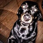 Profile Picture of Paolo Zappala (@ppaolo.zappala) on Instagram