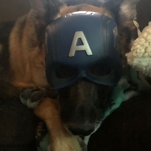 Profile Picture of Todd Prelerson (@tprelerson) on Poshmark