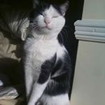 Profile Picture of Graham Nichol (@graham.nichol) on Instagram