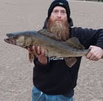 Profile Picture of Jason Bloomfield (@Jason-Bloomfield) on Facebook