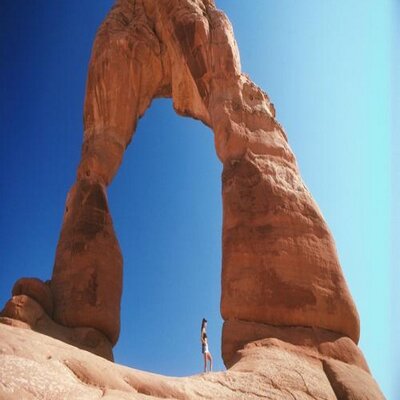 Profile Picture of Alvin Harrison (@MLMMillionaires) on Twitter