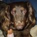 Profile Picture of Jody Kotcher (@jodykotcher) on Pinterest