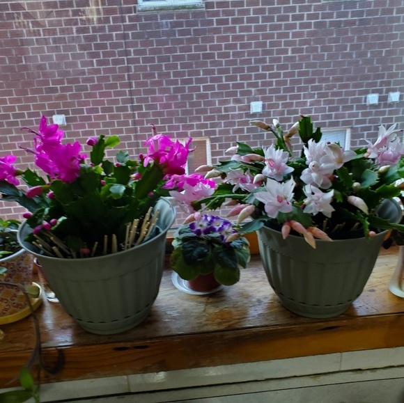 Profile Picture of Lubov Simchaev (@lubasik963) on Poshmark