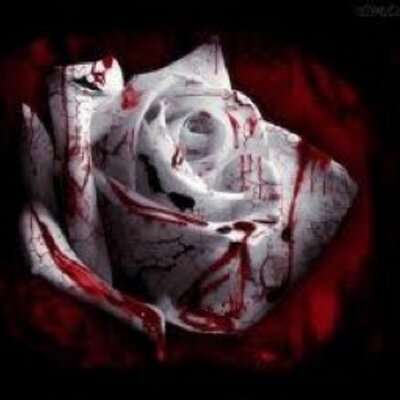 Profile Picture of Miriam Monge (@miriamkitty2688) on Twitter