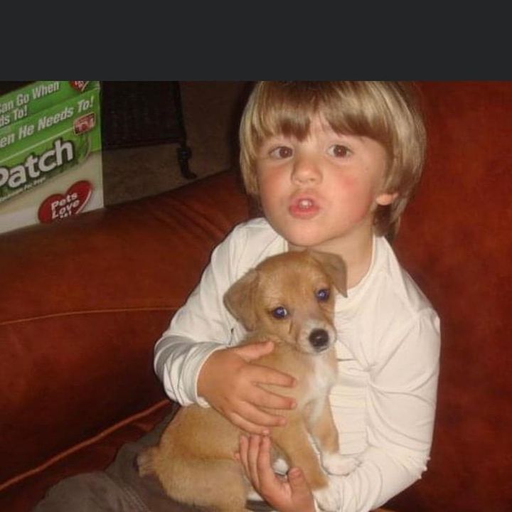 Profile Picture of Andrew everhart (@andreweverhart7) on Tiktok