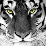 Profile Picture of 1 follower (@floydkim7858) on Instagram
