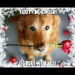 Profile Picture of ravenbray (@ravenbray) on Instagram