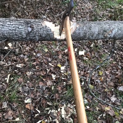 Profile Picture of Lucas David Story (@_AustinAmland_) on Twitter