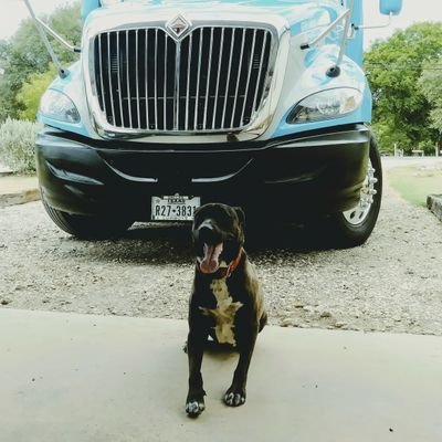 Profile Picture of TRUCKING TEXAS (@JuanValdez191) on Twitter