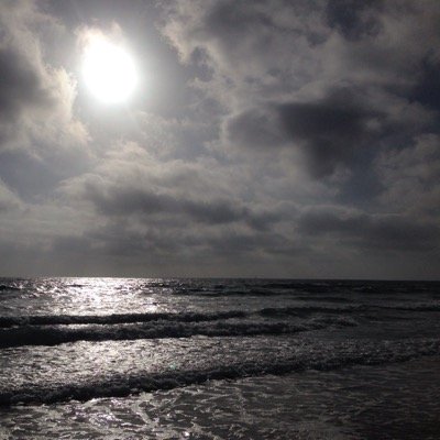 Profile Picture of Jason Arambulo (@arambulj) on Twitter