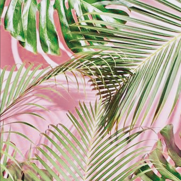 Profile Picture of Morgan Deickmann (@morgand4399) on Poshmark