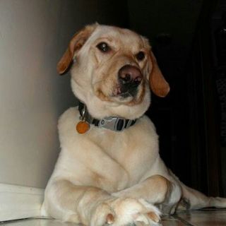 Profile Picture of Angela Manning (@angela.manning.313) on Facebook