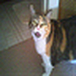 Profile Picture of David Infante (@dave7i) on Flickr