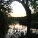 Profile Picture of Pam Simonson (@pam44) on Pinterest