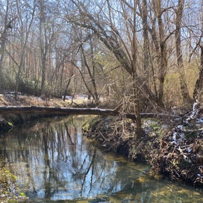 Profile Picture of Darryl Cole (@Cole4District7) on Twitter