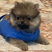 Profile Picture of Leah Robles (@leahrobles3303) on Youtube