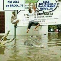 Profile Picture of Doyok Sontoloyo (@black.andrew) on Myspace