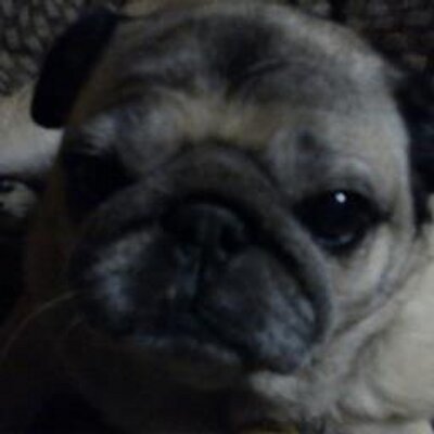 Profile Picture of Nate Bernard (@NateBernard3) on Twitter