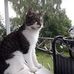Profile Picture of Martin Marcussen (@Martin.Marcussen.99) on Facebook