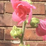 David Tretinik - Instagram Profile Picture of David Tretinik (@davidtretinik) on Instagram