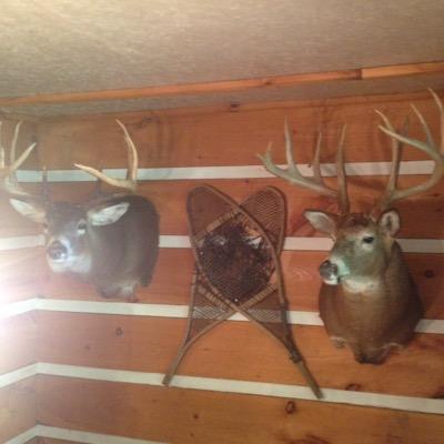 Profile Picture of Greg Prevost (@prevost00) on Twitter