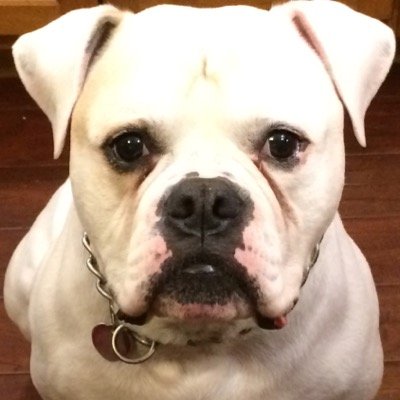 Profile Picture of Mike Sizemore (@sizemore112) on Twitter