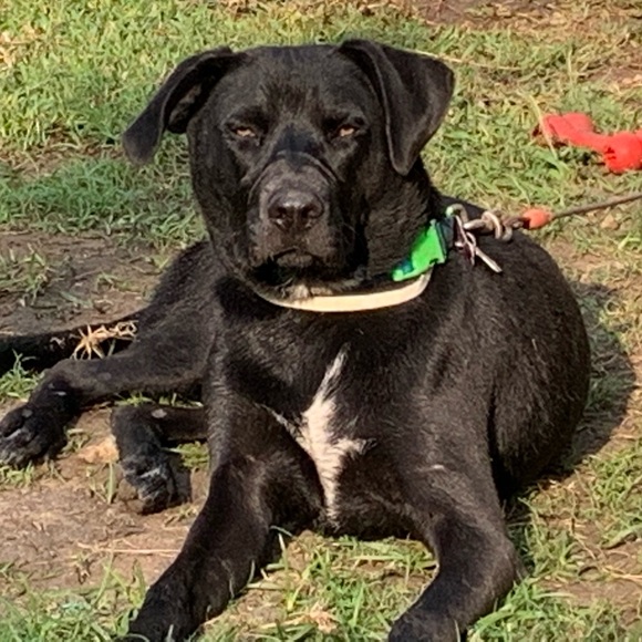 Profile Picture of Robert Potter (@jewelsupply07) on Poshmark