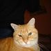 Profile Picture of Paul Theodore (@paul.theodore.351) on Facebook