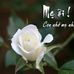Profile Picture of Quang Quan Nguyen (@quangquan.nguyen.756) on Facebook