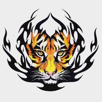 Profile Picture of Javier Pazos (@javier-pazos-7) on Quora