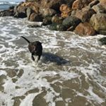 Profile Picture of Keith Croker (@keith.croker) on Instagram