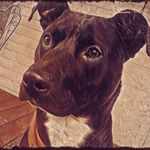 Profile Picture of Rebecca Pasko (@rebecca.pasko.1253) on Instagram