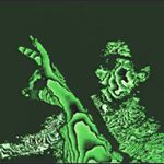 Profile Picture of Forrest Anderson (@forrest_sctd) on Instagram