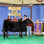 Profile Picture of Andrew Milam (@andrew.milam) on Instagram