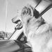 Profile Picture of Julia Hollins (@sweetie32) on Pinterest