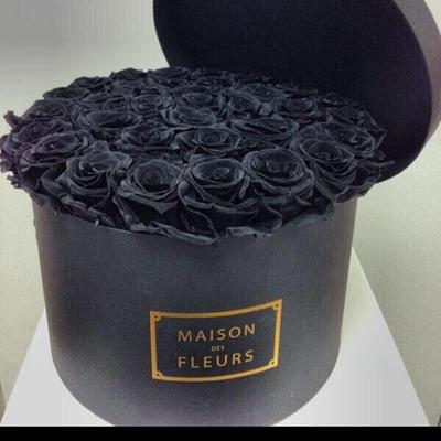 Profile Picture of Harriet Quinn (@Harriet1_quinn) on Twitter