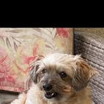 Profile Picture of Janet Cruickshank (@Janet-Cruickshank) on Facebook