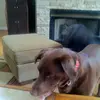 Profile Picture of TINA PAINTER (@tina.painter8) on Tiktok