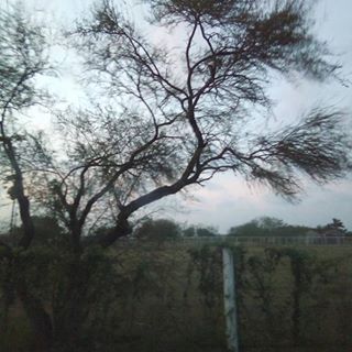 Profile Picture of Carlo Medrano (@carlo.medrano.1297) on Facebook