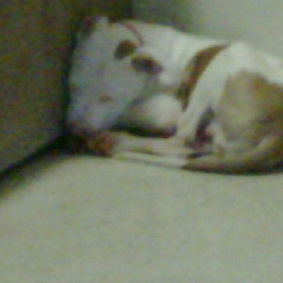 Profile Picture of Nelcyna Camball (@mzcanela2u) on Poshmark