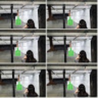 Profile Picture of Michael Ant (@michael-ant-3) on Quora